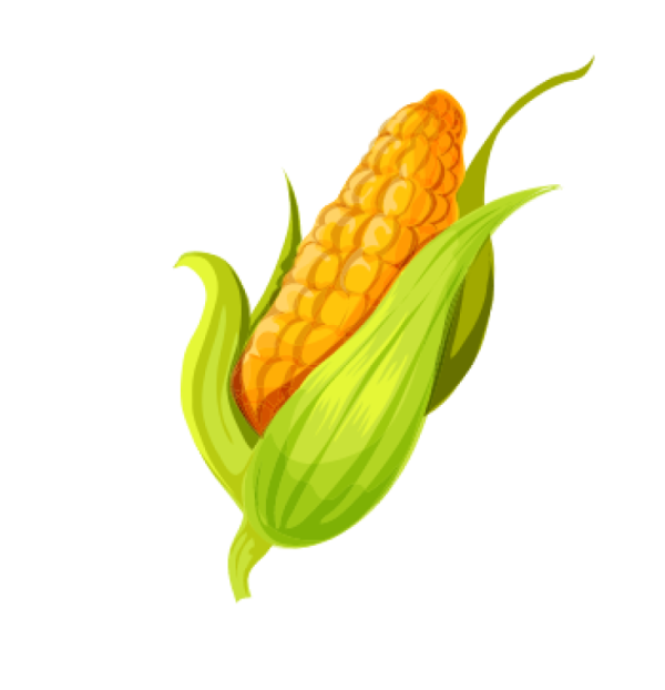 CANNED CORN pgscorporation